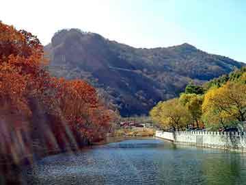 新澳门二四六天天彩，孩子厌学